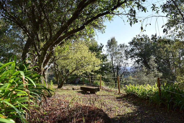 Bed & Breakfast Casa Do Cabe�o