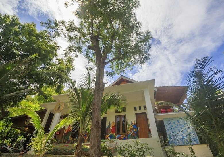 Hostal Dorme Tree