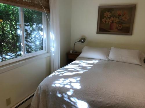Bed & Breakfast Wisteria Guest House