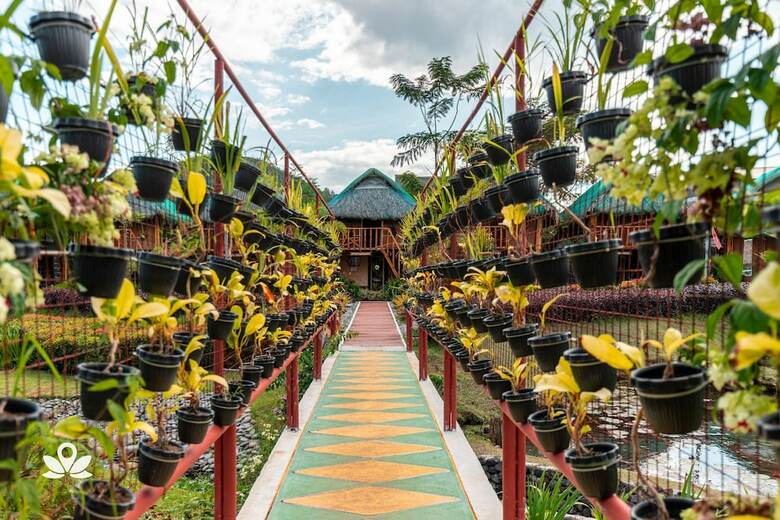 Zen Rooms Your Brother's Legazpi
