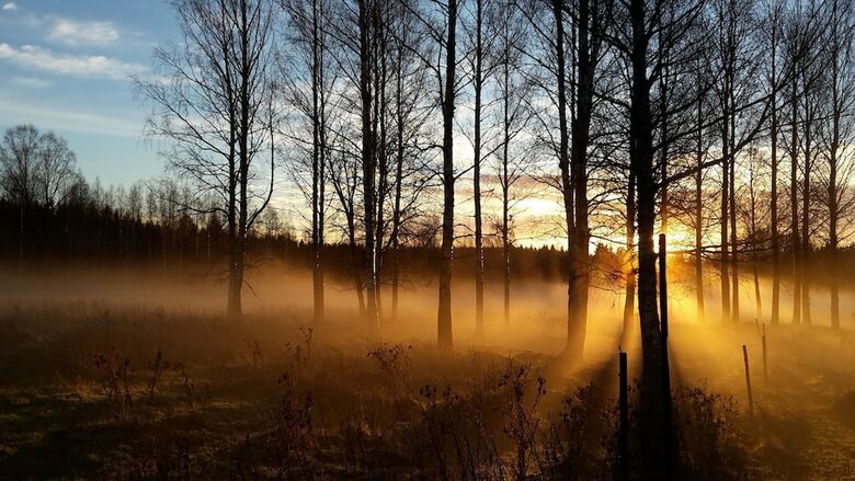 Bed & Breakfast Ulvsbomuren Vildmark & Lantliv