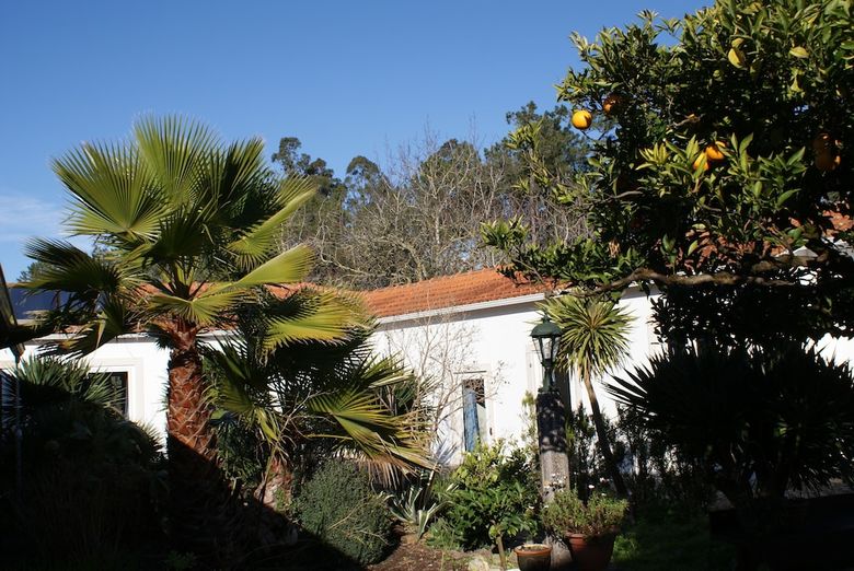 Bed & Breakfast Casa Aguas Mansas
