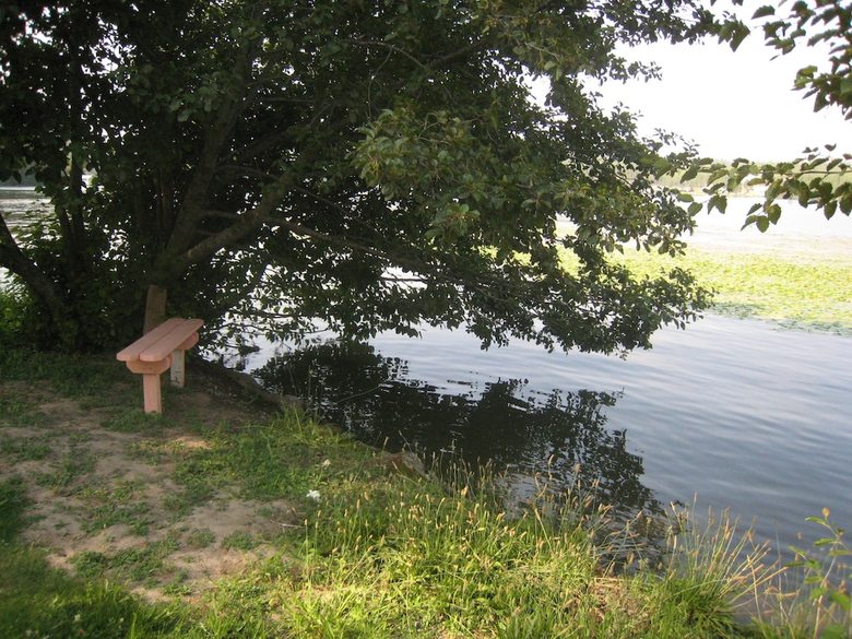 Willow Bay Rv Resort & Marina