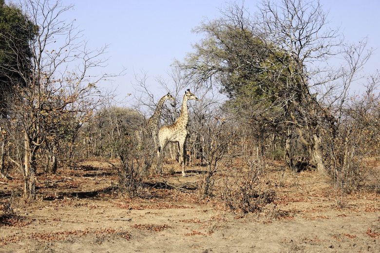Posada Mthimkhulu Private Game Reserve- Adults Only