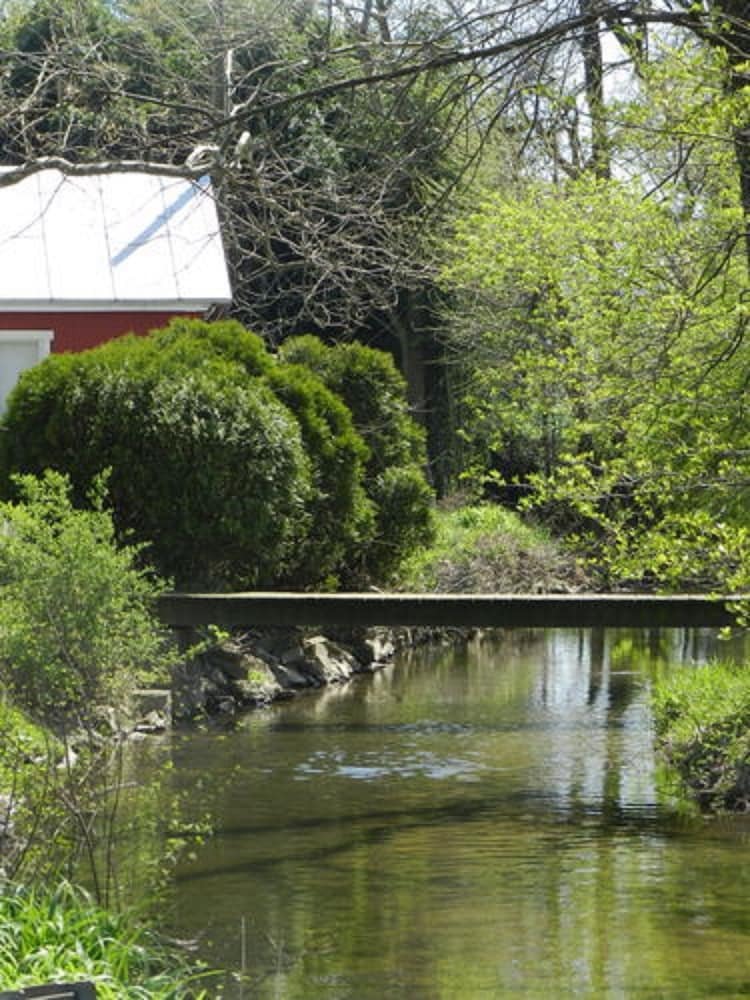 Red Cardinal Bed And Breakfast