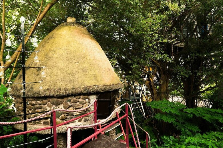 Hotel Dao Anh Khanh Treehouse