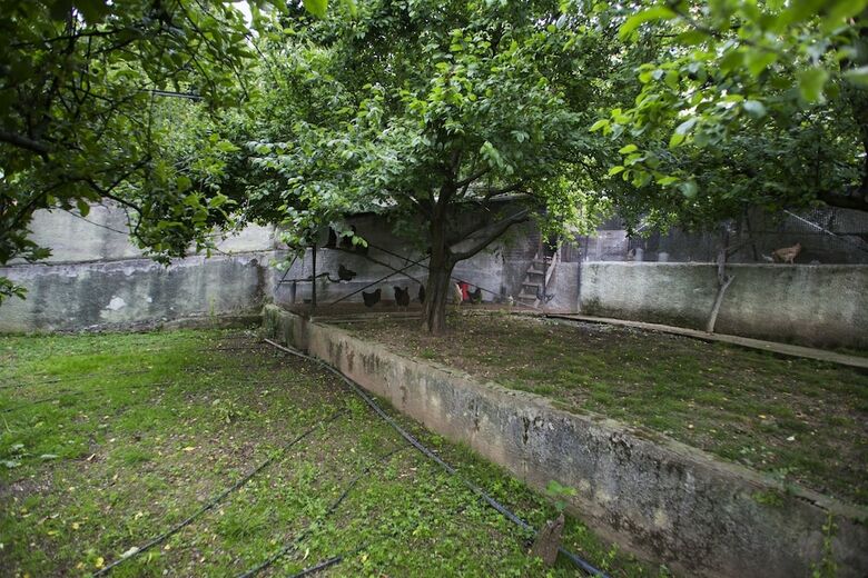Villa Yaprak Dag Evi