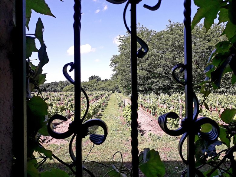 Bed & Breakfast Les Vignes Reines