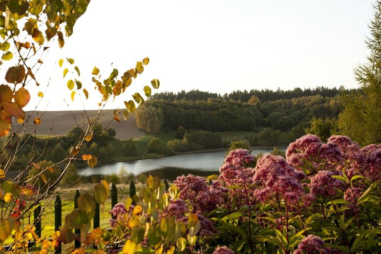 Bed & Breakfast Kashubian Lodge & Spa