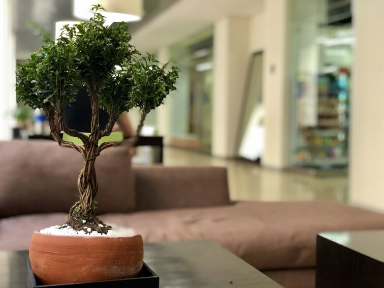 Boutique Apartment Puerta Alameda 801