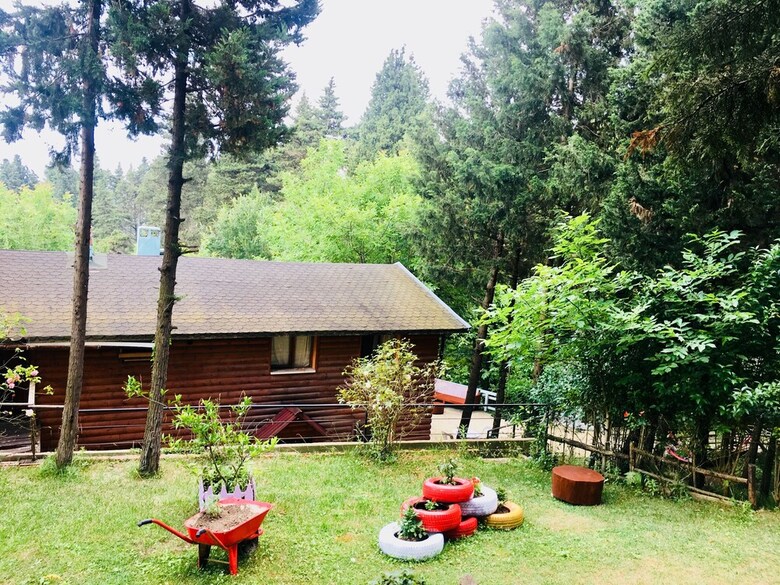 Hotel Agva Orman Evleri (Forest Lodge)