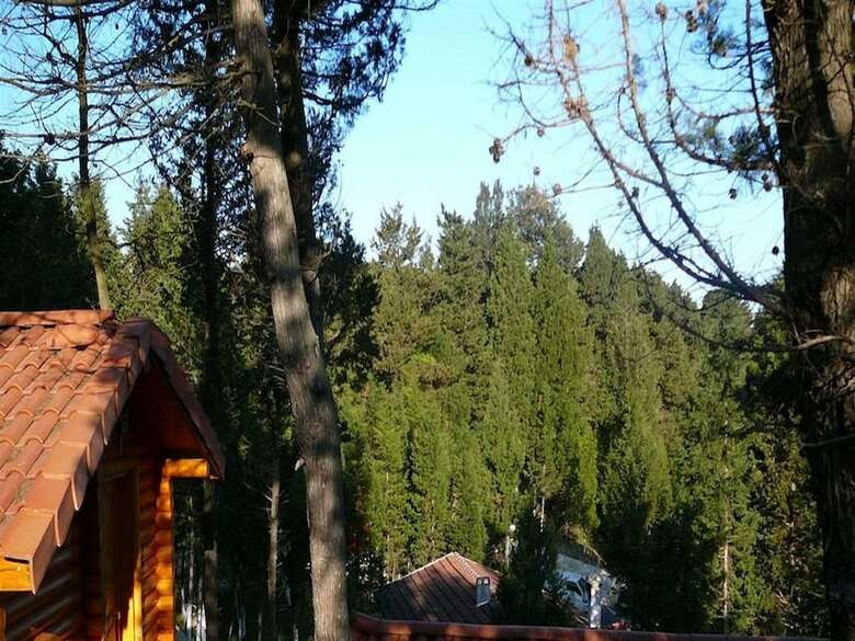 Hotel Agva Orman Evleri (Forest Lodge)