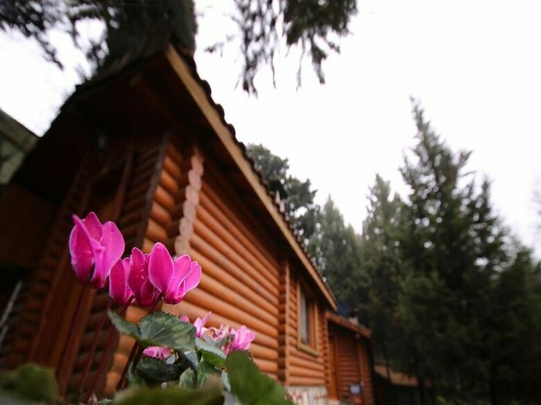 Hotel Agva Orman Evleri (Forest Lodge)