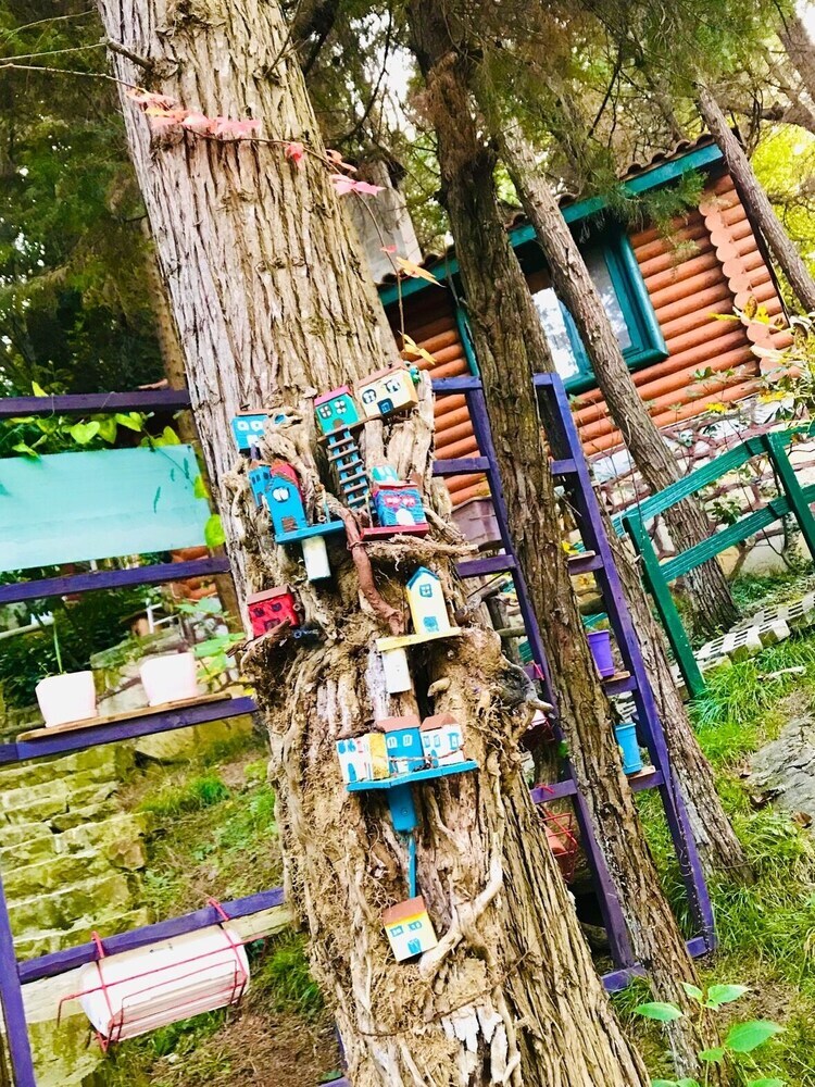 Hotel Agva Orman Evleri (Forest Lodge)