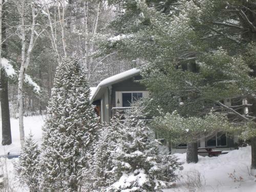 Chalets Des Pins