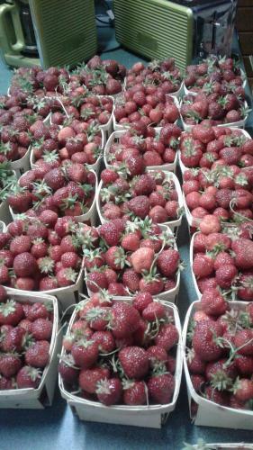 B&B Art Of Germany