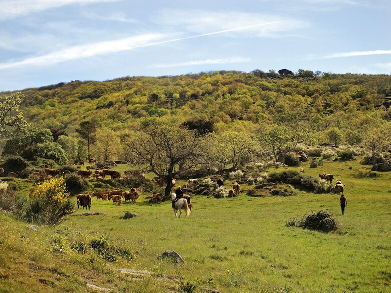 Agroturismo Finca El Cabezo