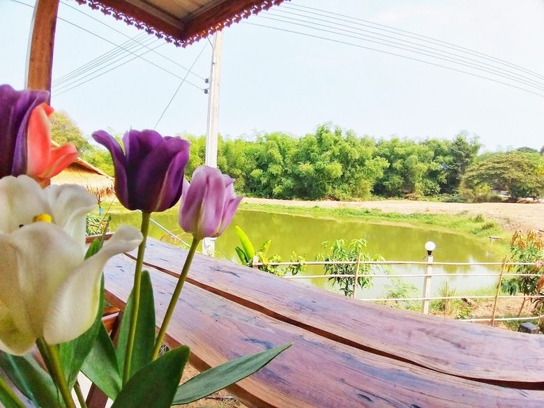Hotel Modernloft Homestay