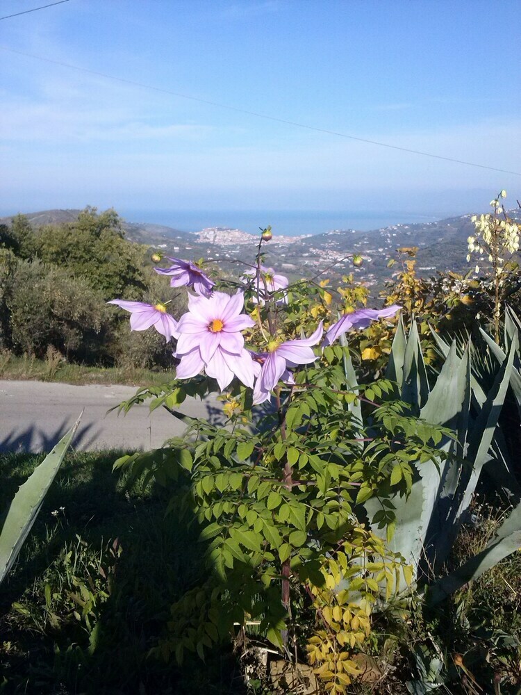B&B Casale San Martino