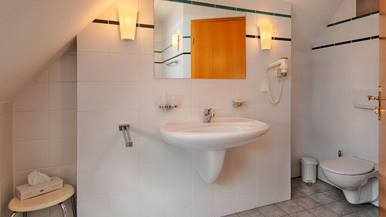 Hotel Luther Birke Wittenberg