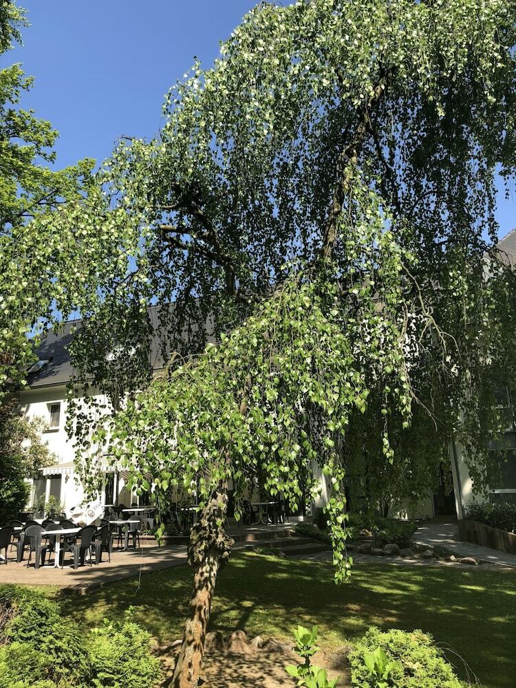 Hotel Luther Birke Wittenberg