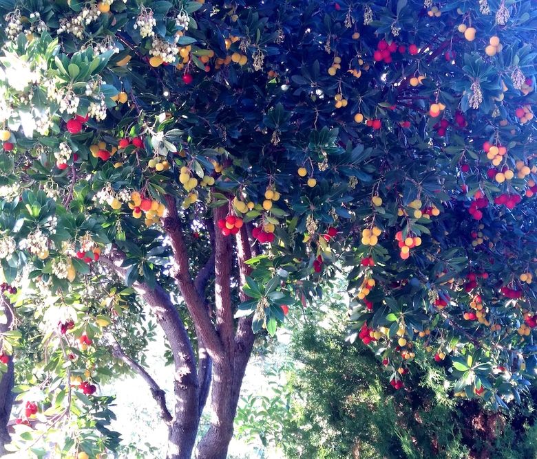 B&B Villa Ciccone