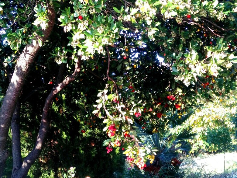 B&B Villa Ciccone
