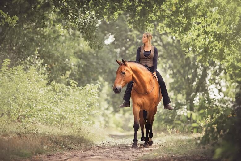 Human & Horse Hotel