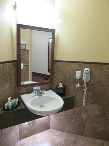 Hotel Poplar Tree Inn