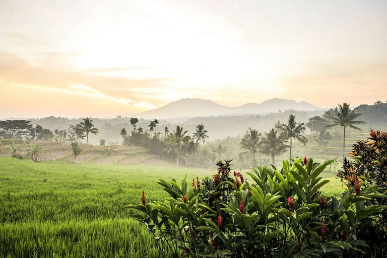 Hotel Ijen Resort And Villas