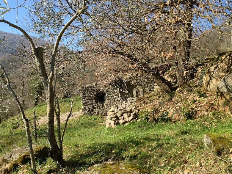 Bed & Breakfast Podere Pontepietra