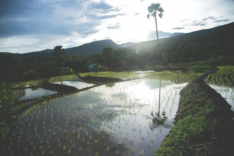 Hotel Suan Sook Homestay