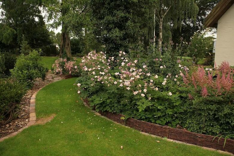 Bed And Breakfast Horsens