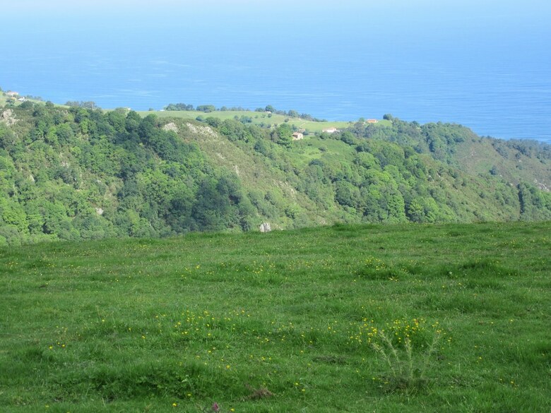 Casa Carme