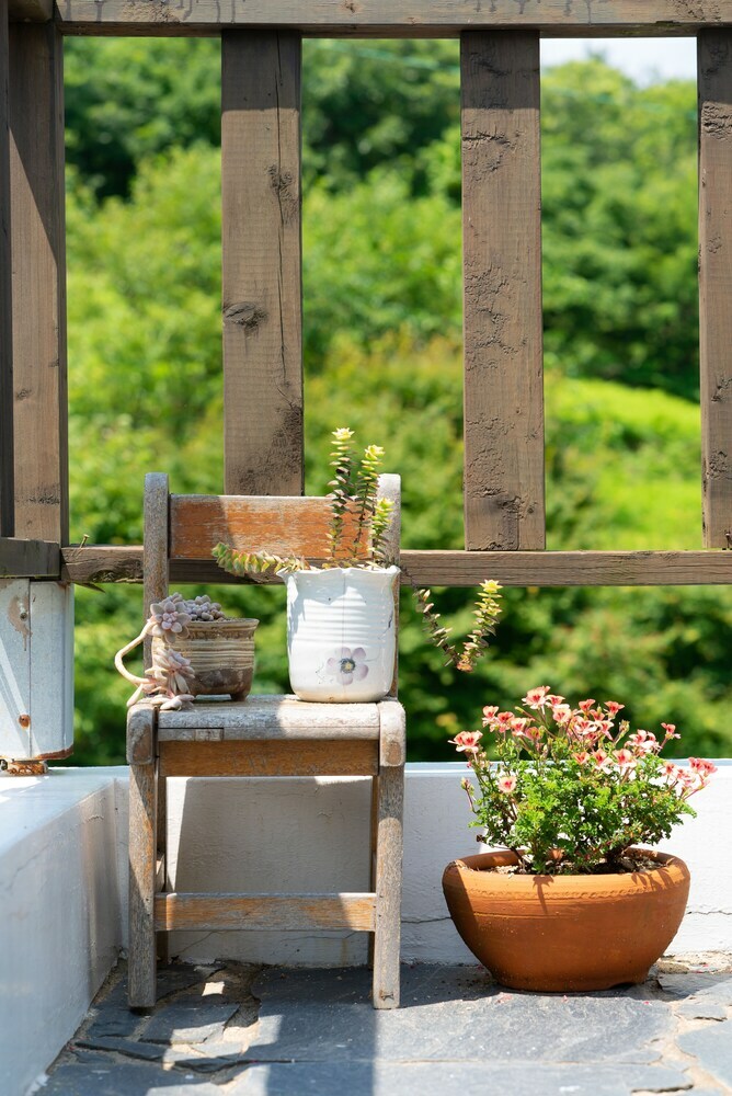 Rest Pension