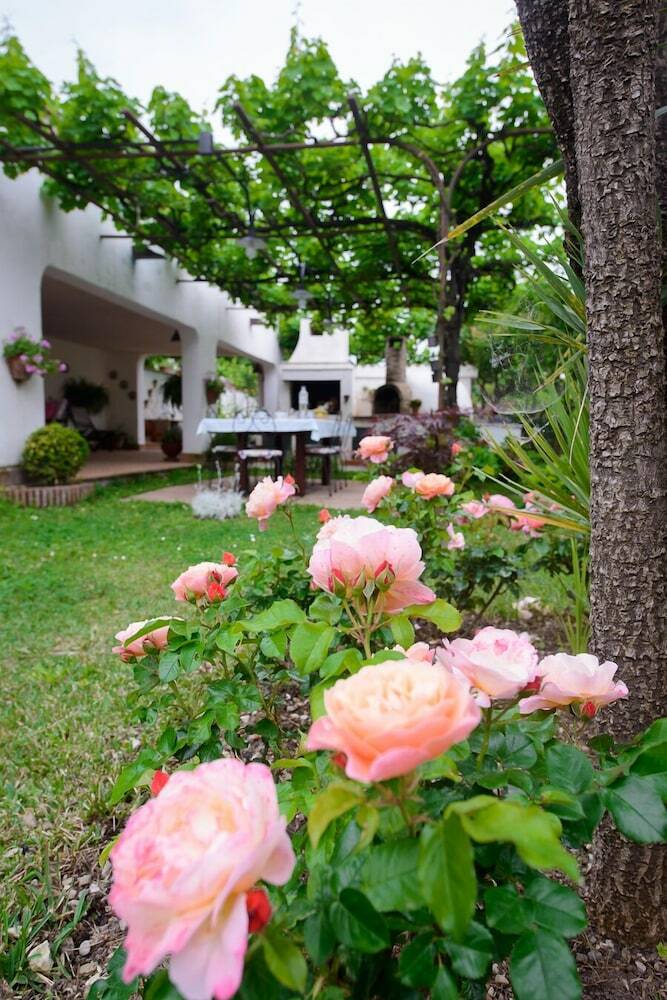 B&B Li Fringi