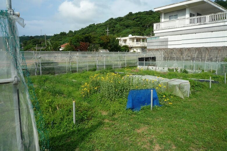 Hotel Ayanosho