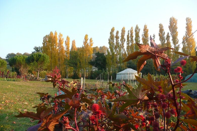 Bed & Breakfast A La Source - Bio V�getarisme Et M�ditation