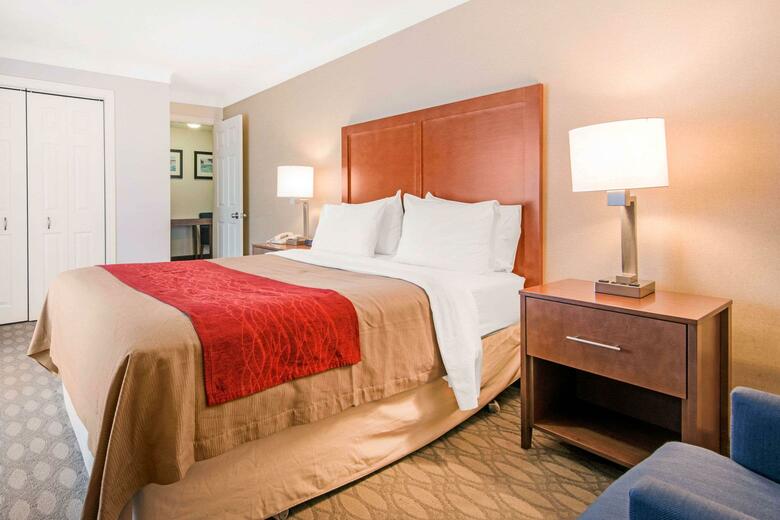 Hotel Comfort Inn Fallsview