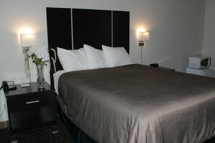 Ramada Plaza Niagara Falls Hotel