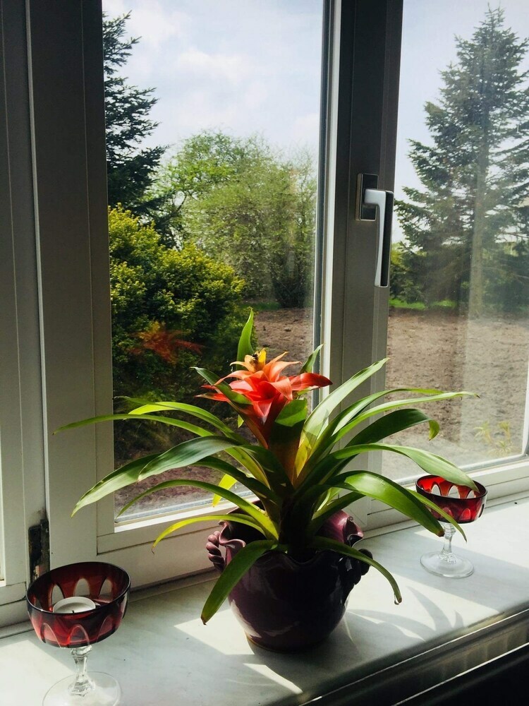 Holidayhome Rejsby Close To R�m�