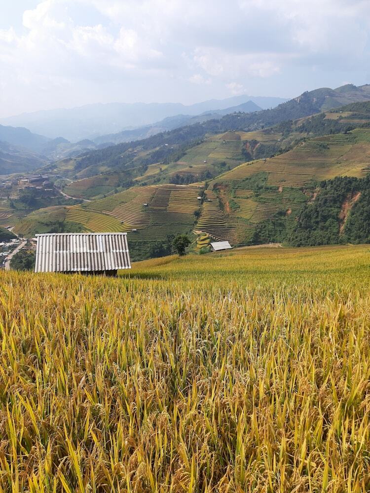Hotel Indigenous Homestay
