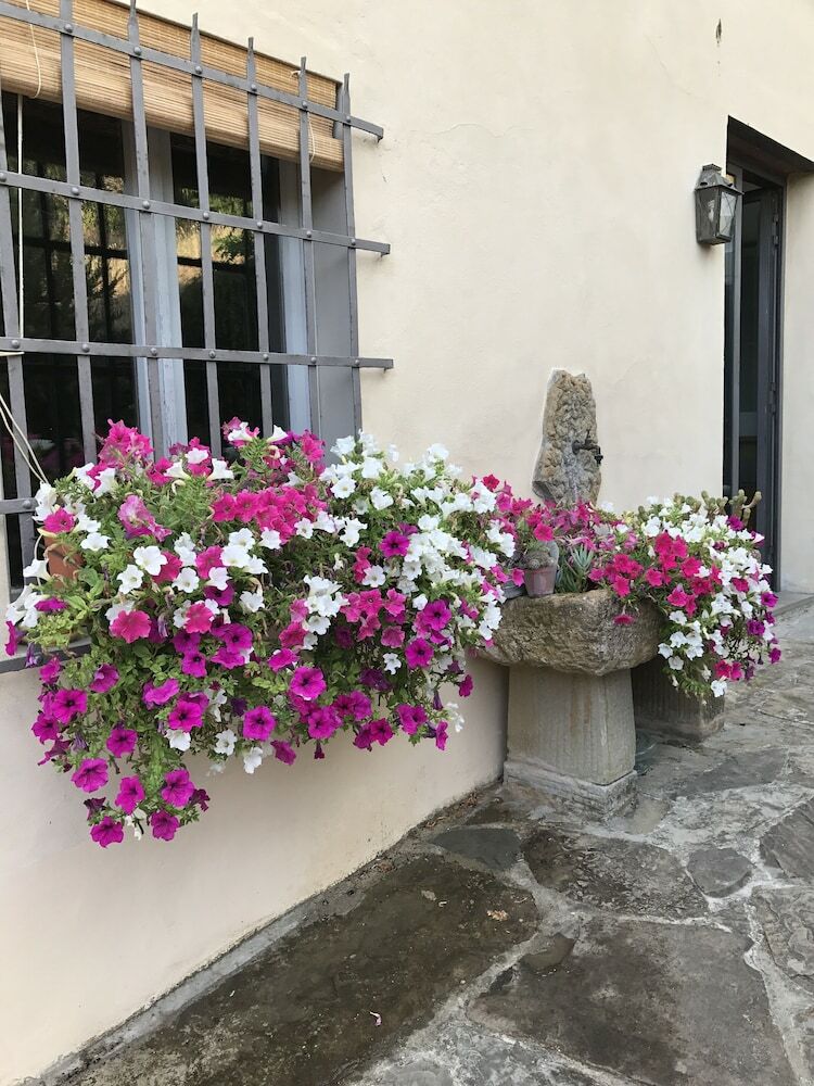 Agroturismo Il Pezzatino