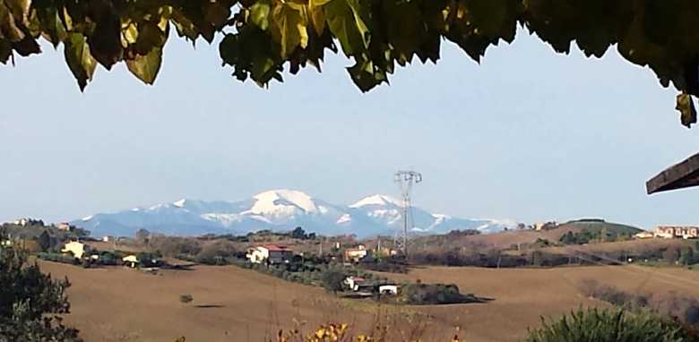 Agroturismo Airone Country House