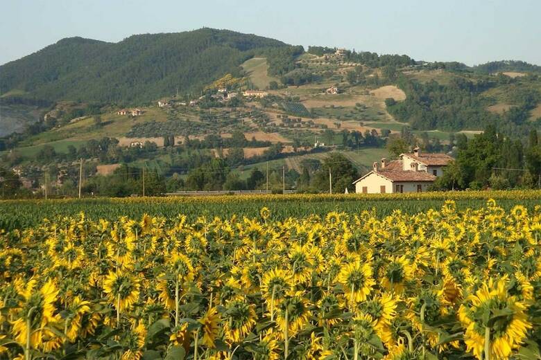 Fontecese Bed And Breakfast