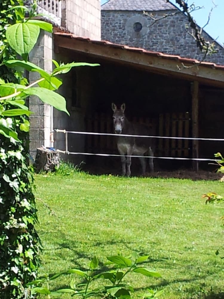 Bed & Breakfast Domaine Du Salabert