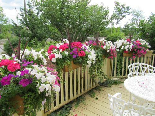 Bedham Hall B&B