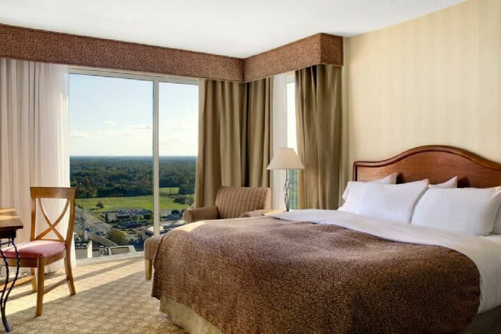 Hilton Hotel And Suites Niagara Falls/fallsview