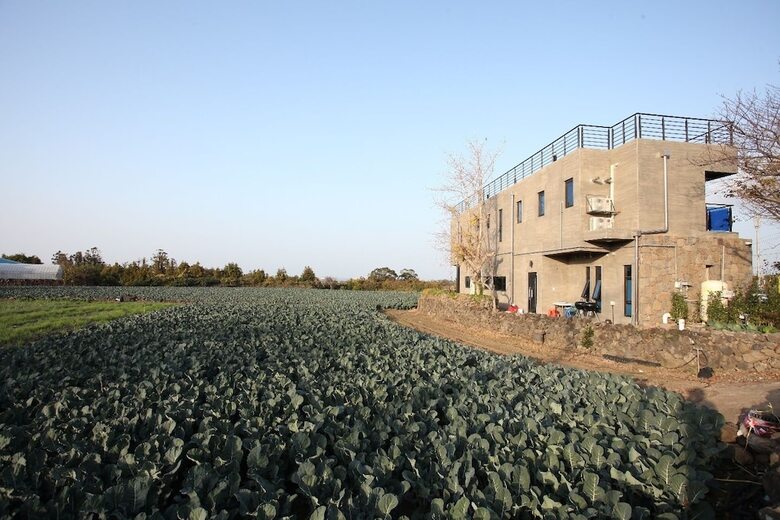 Pension La Cour Stay & Cafe