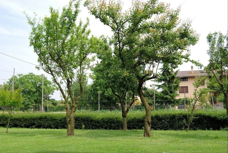 Agroturismo Agriturismo Il Melograno
